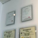 댕댕인럽 이미지