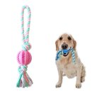 덴탈투유 이미지