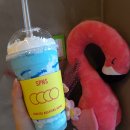커피사피엔스DMC에코