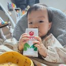 389 | [12개월아기] D+389 아기와 대중교통 첫 임진각 나들이 후기