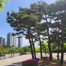 장자호수공원 이미지