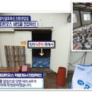 효진농장 | 21.08.25 효진피트모스 - 제천시 유기농 육계 농장 방문후기