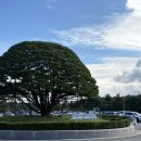 썬스테이호텔 | 강릉 썬크루즈 호텔 솔직후기 정동진 오션뷰 숙소 추천