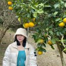 형우목장 | 겨울 제주도 절망편