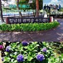 억불산