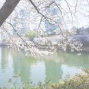 점보마트 이미지