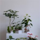 동산동-24 | 🌸 삼송꽃집 플레르로베 – 동산동에서 만나는 감성 오더메이드 플라워샵 후기