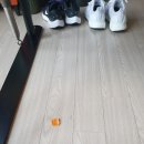 에버마루 이미지