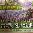 용문산덕동표고버섯 네이버블로그