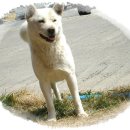 여미선착장 이미지