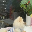 지에스(GS) 25 경의교차로점 이미지