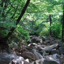 아카데미호텔 Daum카페