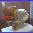 청성한의원 이미지