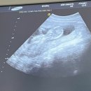 세인산부인과의원 이미지