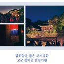 시끄러운달빛