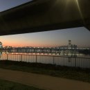 슬로우워커스그룹 | 천천히 일하는 습관을 들이자 (feat. 프리워커스 후기)