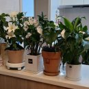 오늘도 아름답개 이미지