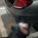 Y모터스(와이모터스) 이미지