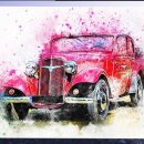 몽몽이애견 이미지