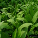 나비공원　 이미지