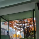 슬래시위드