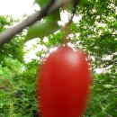 원두골농장 이미지