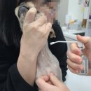 부천종합동물병원 이미지