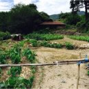 수만리보건진료소 이미지