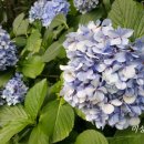 미성농장 이미지