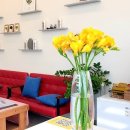 예담헤어 이미지