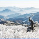 작전역사거리 3,4번 출구 앞 이미지