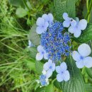 반여2동-6 이미지