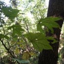 큰골짜기농장 이미지