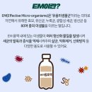 서울특별시 관악구 은천동주민센터 이미지