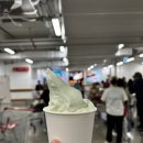 원소프트 | 25년 4월 신규출시 코스트코 아이스크림 멜론소프트아이스크림 내돈내산 리얼후기 (3천원)
