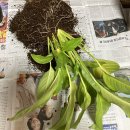 gs25성남타운점 이미지