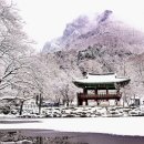 설화 - 수원시 팔달구 장다리로 250 | 설화
