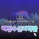 해양수산 | 【여수】🌊 아이와 가볼 만한 곳 | 전라남도 해양수산과학관 후기 🐠 아이들 눈 반짝반짝!