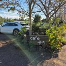 안덕면 상창리사무소 입구 | 카멜리아힐 다녀오는 길, 제주 서귀포 카페 ‘을리’에서 힐링 타임