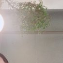 오르에르 | 성수 오르에르, 핫하다고해서 가봄 내돈내산 솔직후기