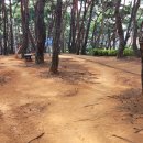 명심보감 한문교실 이미지