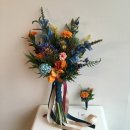 오렌지블루 이미지