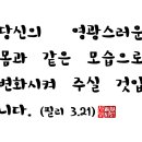 필리필리 이미지