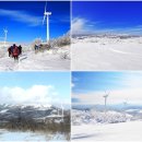 01월31일(제671차)아름다운 겨울 왕국 평창 선자령 산행입니다. 이미지