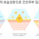 윈윈커뮤니티 이미지