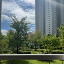 동산조경개발 이미지