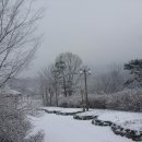 겨울나그네 이미지