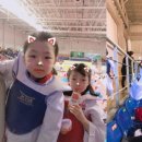 강한친구들태권스쿨 이미지