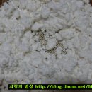 떡닭떡닭 이미지