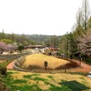 무릉도원 이미지